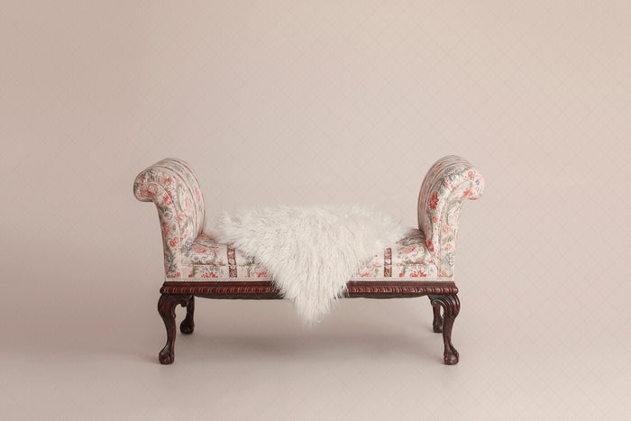 Digital Backdrop
