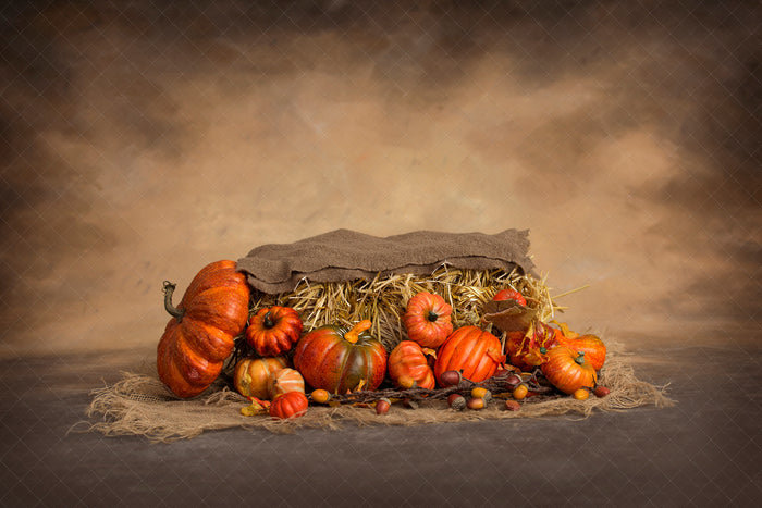 Digital Backdrop