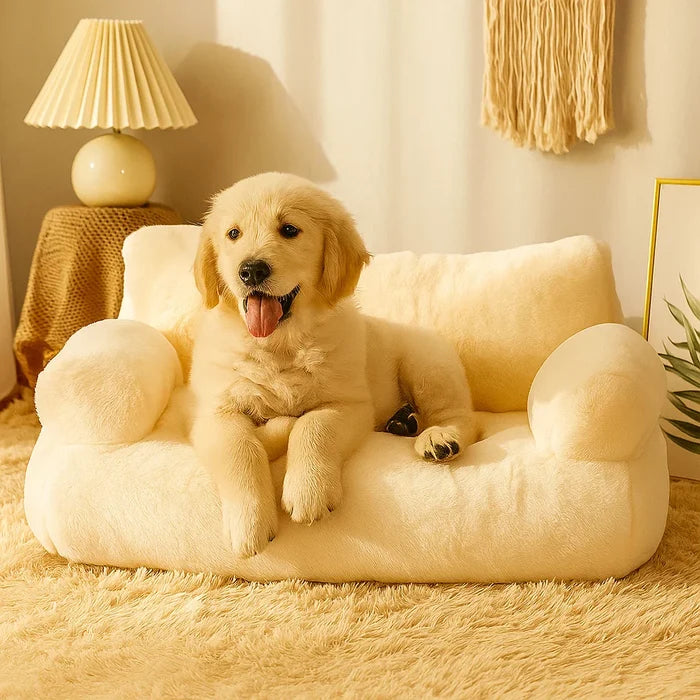 Dream Lounge – Dog sofa with comfort and style