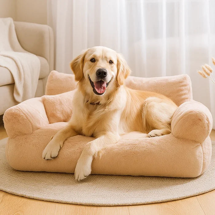 Dream Lounge – Dog sofa with comfort and style