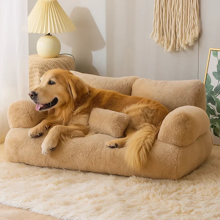 Dream Lounge – Dog sofa with comfort and style