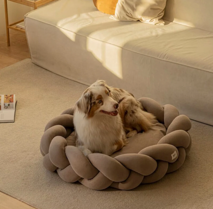 DreamLounger Deluxe Dog Bed