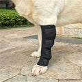 DualLink Joint Protectors