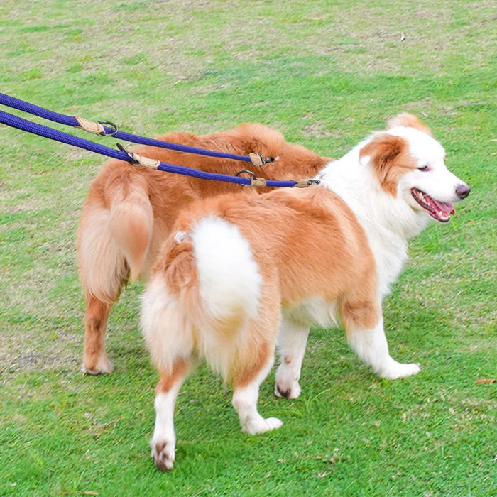 DuoStride Hands-Free 210 cm Multi-Function Dog Leash