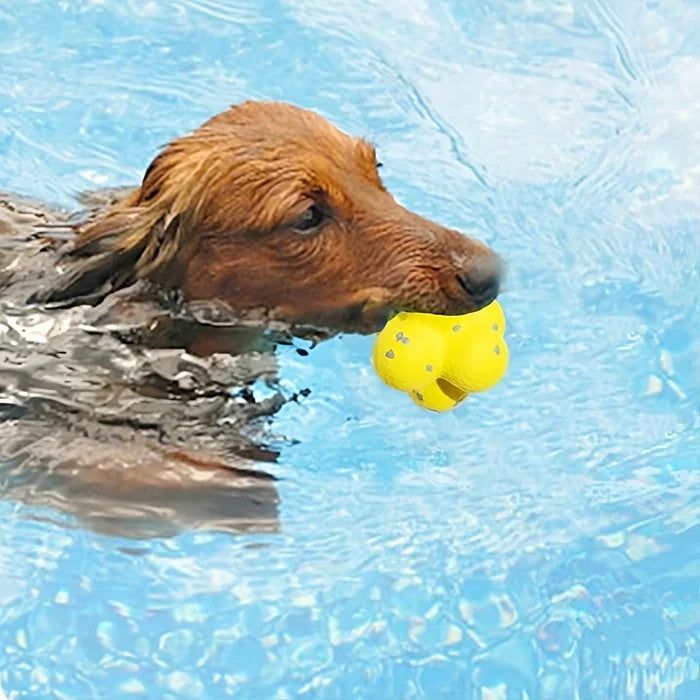 Durable Bouncing Ball for Dogs