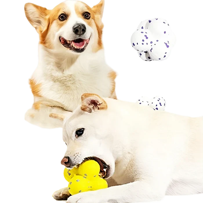 Durable Bouncing Ball for Dogs