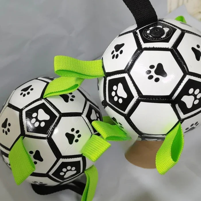 Durable Dog Ball with Tug Handles