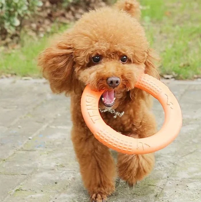 Durable Throw & Bite Ring