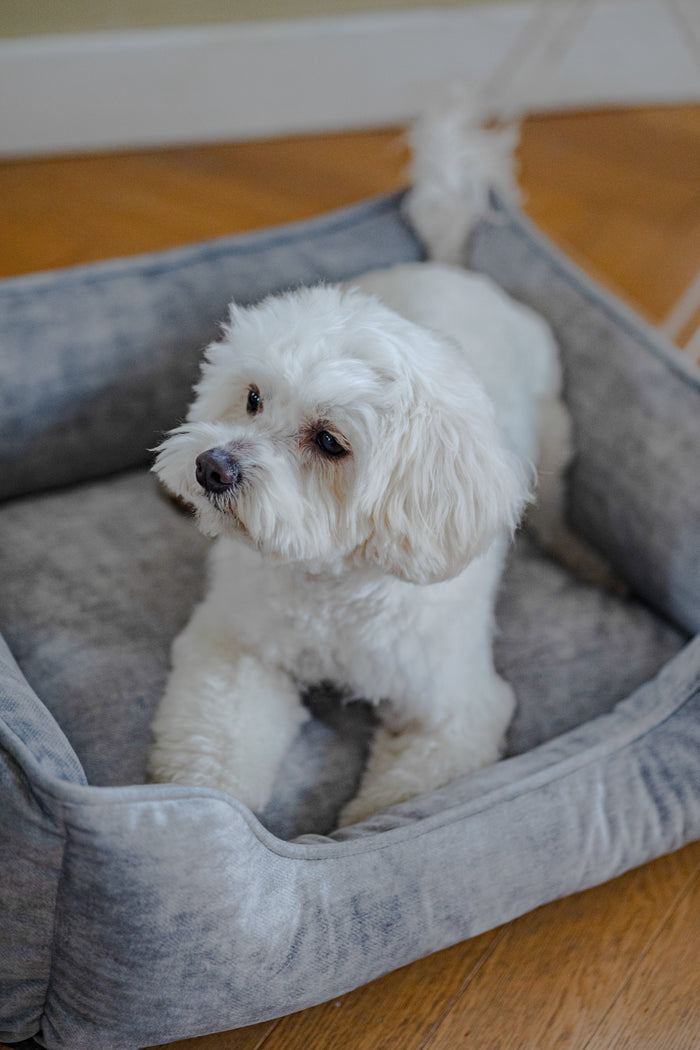 Eco Rectangle Dog Pet Puppy Bed - Recycled Plastic Bottle Yarn Wipe-Clean - Pet Beds for dogs Snug and Cosy Pets