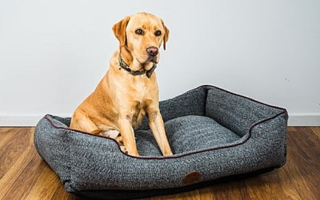Edinburgh Herringbone Dog Bed | Luxury Tweed Rectangle Bed - for dogs Snug and Cosy Pets