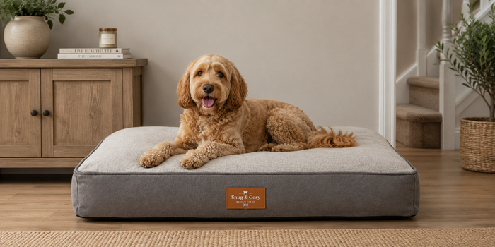 Elegance Faux Leather Orthopaedic Dog Bed | Luxury Dog Lounger Mattress - Dog Beds & Loungers for dogs Snug and Cosy Pets
