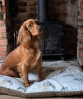 Farmyard Cream Lounger (Cover Only) - Pet Bed for dogs Snug and Cosy Pets