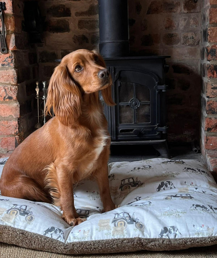 Farmyard Cream Lounger (Cover Only) - Pet Bed for dogs Snug and Cosy Pets