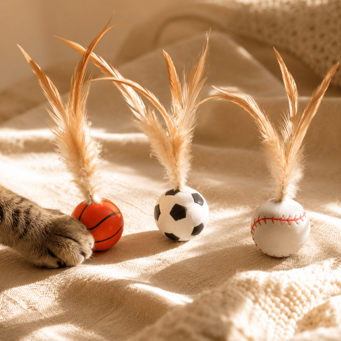 Feather Cat Balls