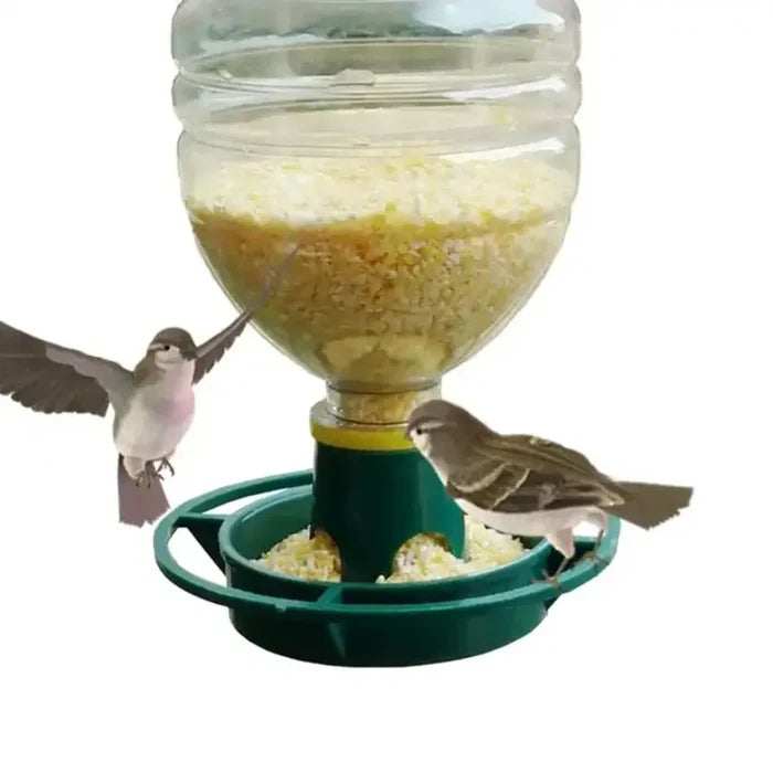 FeatherFlow DIY Bottle Bird Feeder