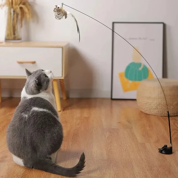 FeatherFrenzy Cat Toy