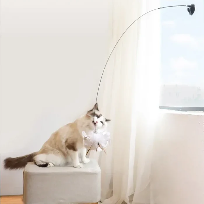 FeatherFrenzy Cat Toy