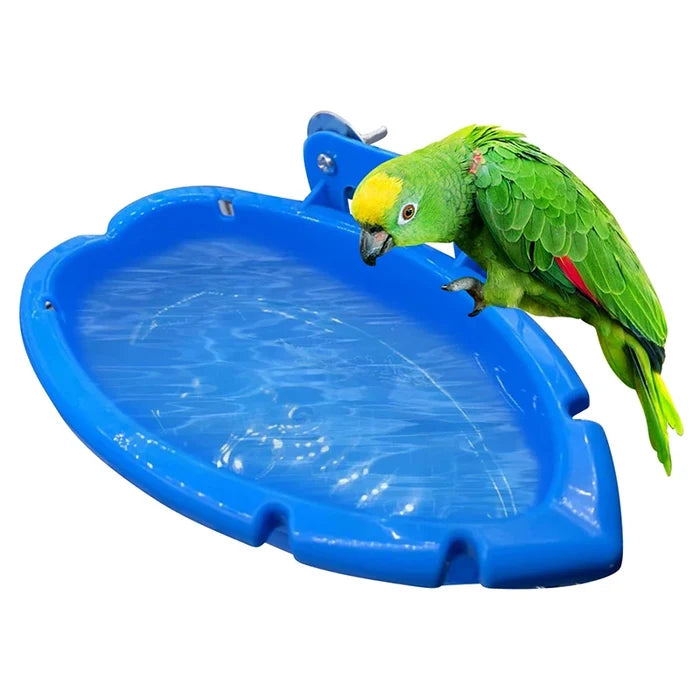 FeatherSplash 3-in-1 Bird Bath & Feeder