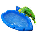 FeatherSplash 3-in-1 Bird Bath & Feeder