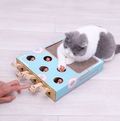 FelineQuest Adventure Box