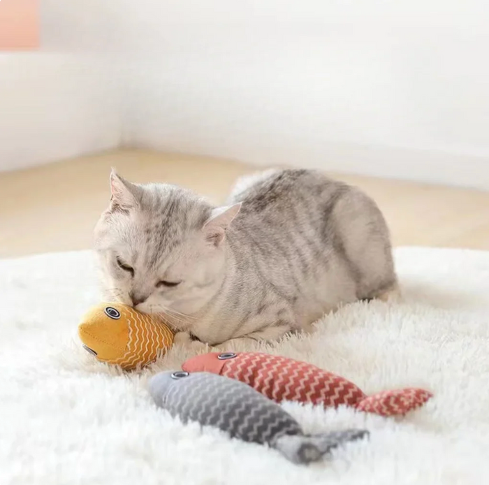 FishBuddy Cat Toy with Catnip