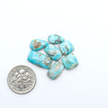 Fox Turquoise cabochons, polished gemstones with natural matrix on a white background, with a US dime for scale