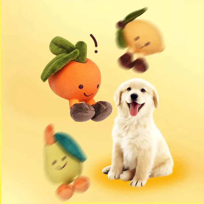 FruitFun – Squeaky Dog Toy in a Fruit Design