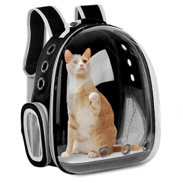 GalaxyPaw Transparent Space Capsule Pet Backpack