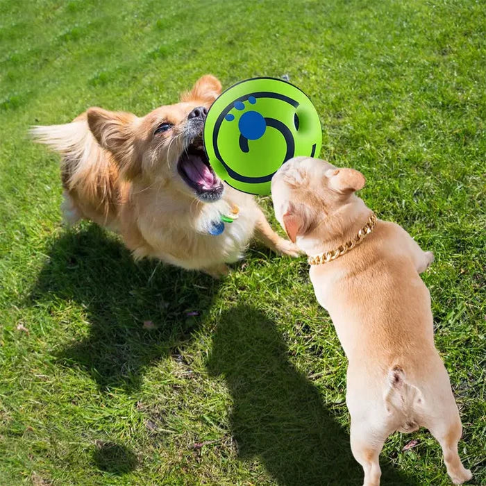GiggleRoll Interactive Dog Toy