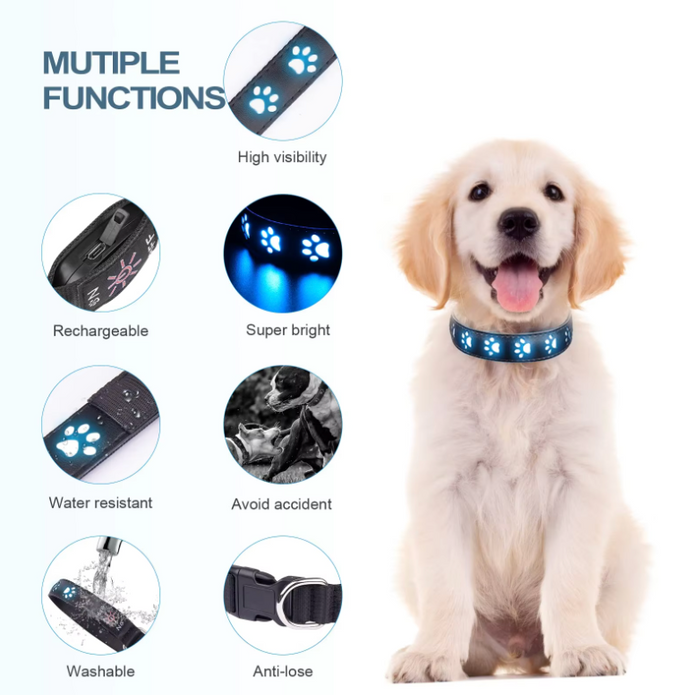 GlowPup 7-Mode LED Dog Collar