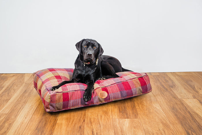 Highland Mulberry Heritage Tartan Check Lounger Cushion - for dogs Snug and Cosy Pets