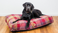 Highland Mulberry Heritage Tartan Check Lounger Cushion - for dogs Snug and Cosy Pets