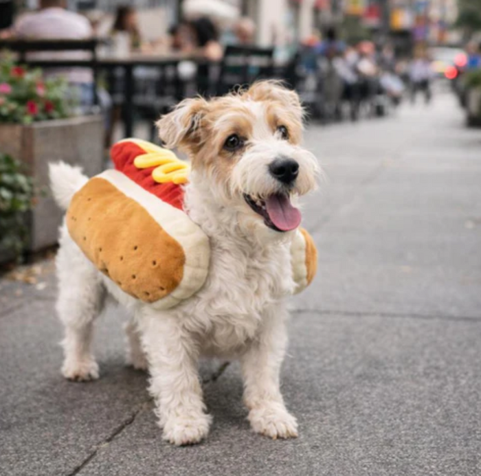 HotDog Dog Costume