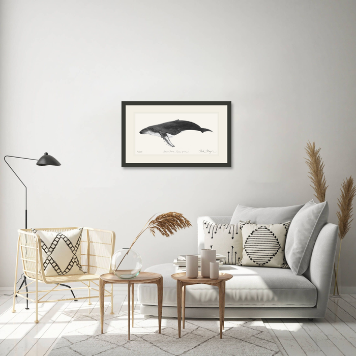 Humpback Whale Limited Edition Print (B&W) Nick Mayer