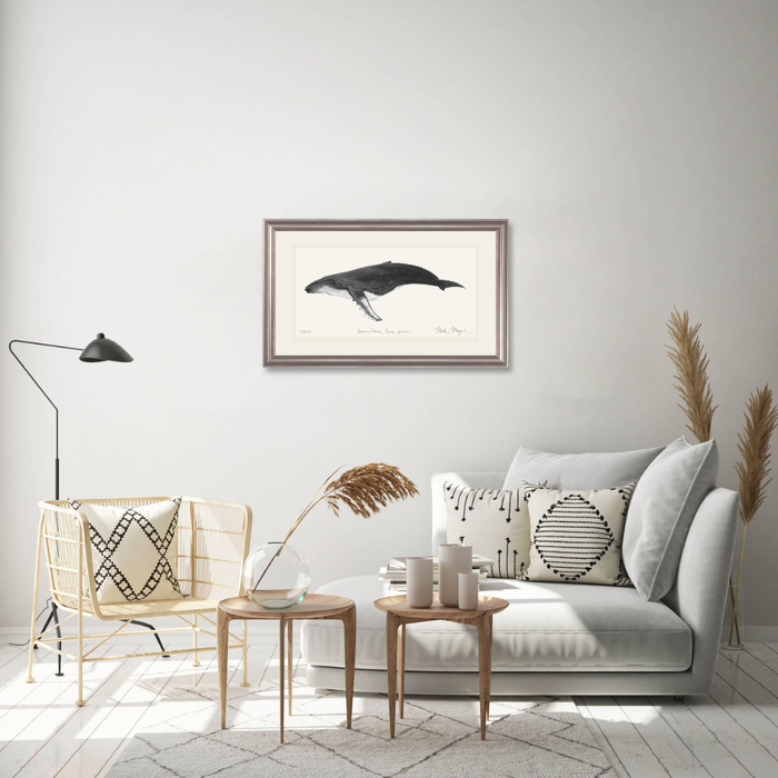Humpback Whale Limited Edition Print (B&W) Nick Mayer