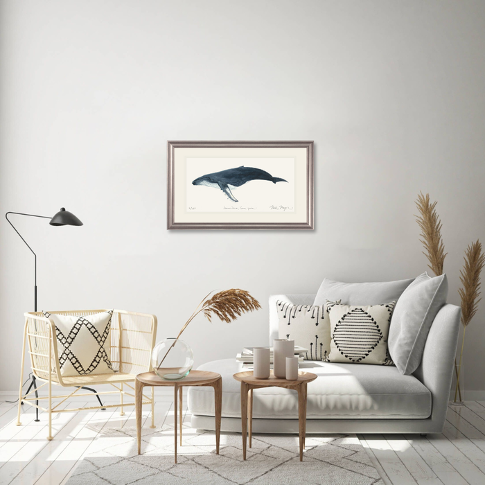 Humpback Whale Limited Edition Print Nick Mayer