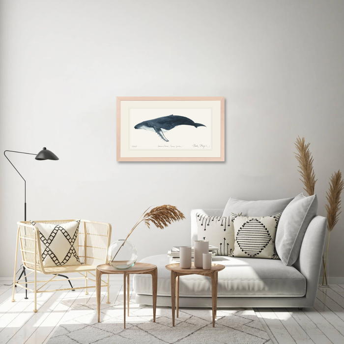 Humpback Whale Limited Edition Print Nick Mayer