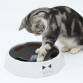 HuntPlay Hide & Seek Mouse Game