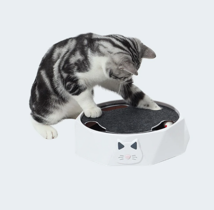 HuntPlay Hide & Seek Mouse Game