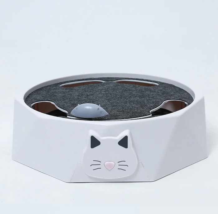 HuntPlay Hide & Seek Mouse Game