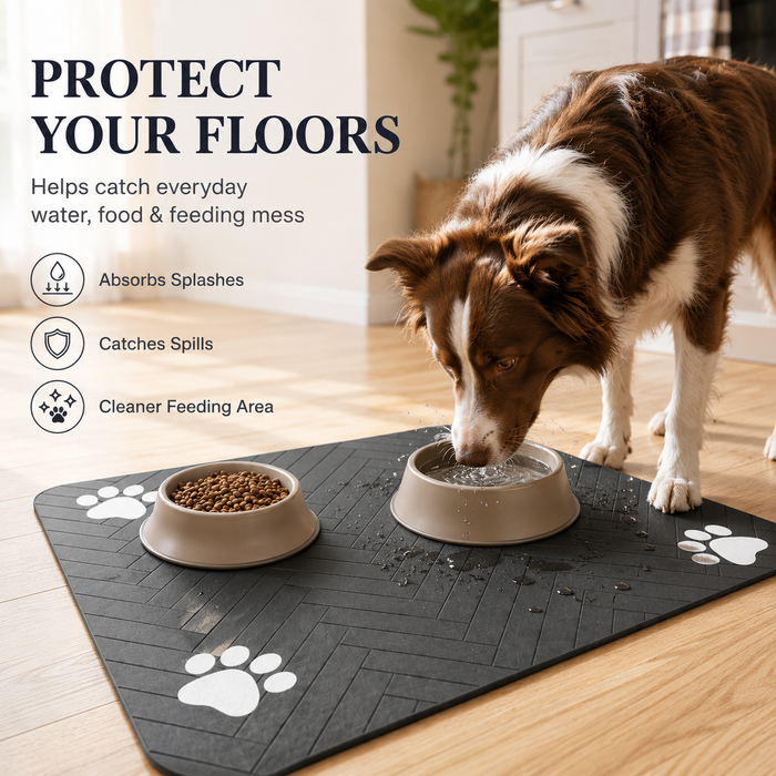 HydraMat Absorbent Pet Feeding Mat