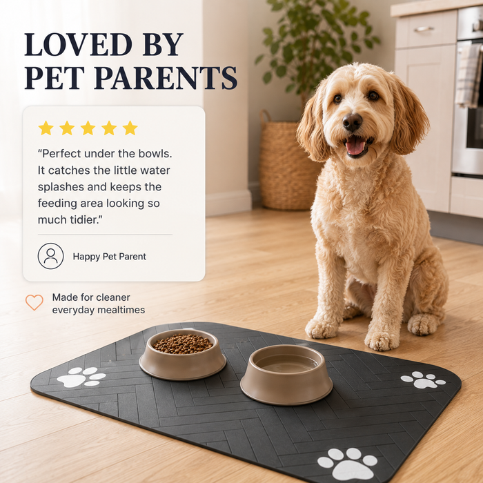 HydraMat Absorbent Pet Feeding Mat