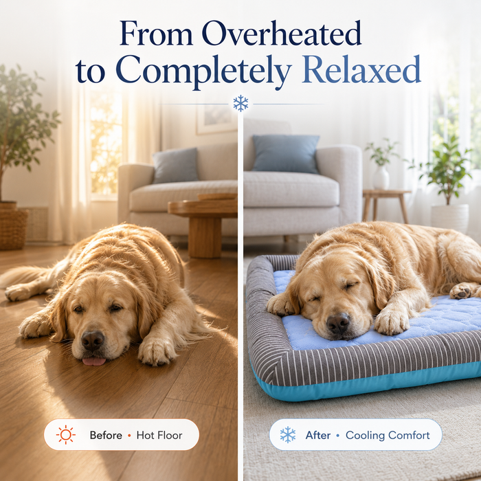 IceSilk Chill Pet Mat