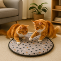 Interactive Cat Ball with Hide-and-Seek Feature