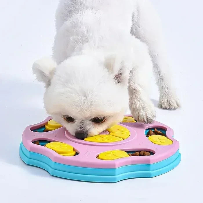 IQ-Treat Brain Box