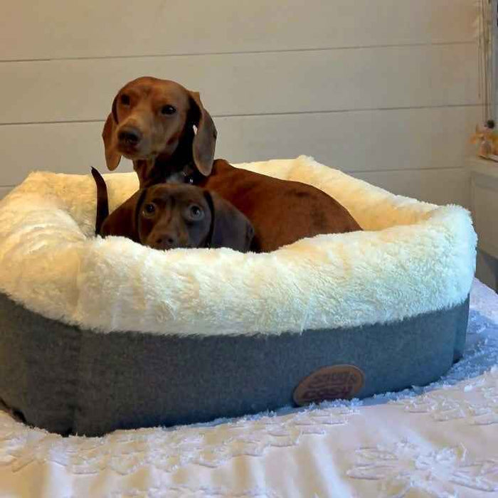 Ivory Box Bed - Supersoft Cozy Bed for Small Dogs and Cats - Pet Beds for dogs Snug and Cosy Pets