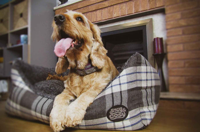 Kensington Pet Bed - Experience Luxurious Comfort and Timeless Elegance - for dogs Snug and Cosy Pets