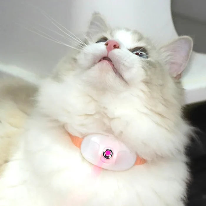 LaserPlay USB Rechargeable LED Cat Teasing Toy