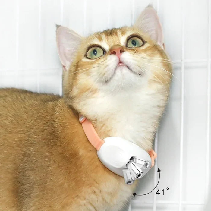 LaserPlay USB Rechargeable LED Cat Teasing Toy