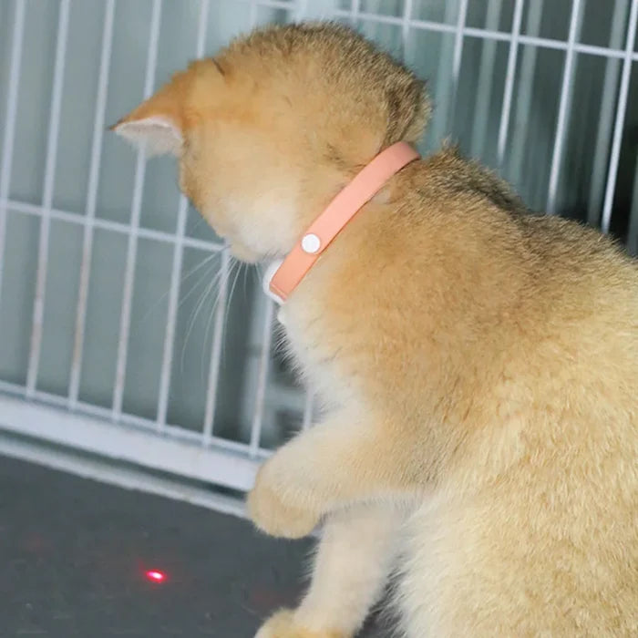 LaserPlay USB Rechargeable LED Cat Teasing Toy